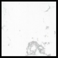 WHITE FLORES