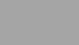 SREBRNY 9006